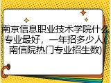 南京信息职业技术学院什么专业最好，一年招多少人(南信院热门专业招生数)