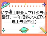 辽宁理工职业大学什么专业最好，一年招多少人(辽宁理工专业招生)