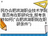 民办合肥滨湖职业技术学院是否有在职研究生,报考条件如何("合肥滨湖职院在职研条件")