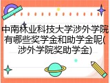 中南林业科技大学涉外学院有哪些奖学金和助学金呢(涉外学院奖助学金)