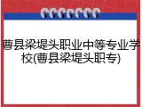 曹县梁堤头职业中等专业学校(曹县梁堤头职专)