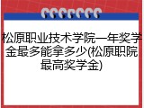 松原职业技术学院一年奖学金最多能拿多少(松原职院最高奖学金)