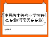 河南民族中等专业学校有什么专业(河南民专专业)