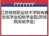 江苏信息职业技术学院有哪些奖学金和助学金呢(苏信院奖助学金)