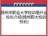 扬州市职业大学校训是什么，校长介绍(扬州职大校训校长)