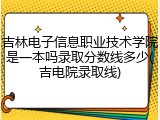 吉林电子信息职业技术学院是一本吗录取分数线多少(吉电院录取线)