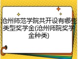 沧州师范学院共开设有哪些类型奖学金(沧州师院奖学金种类)