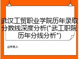 武汉工贸职业学院历年录取分数线深度分析("武工职院历年分线分析")