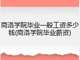 商洛学院毕业一般工资多少钱(商洛学院毕业薪资)