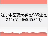 辽宁中医药大学是985还是211(辽中医985211)