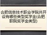合肥信息技术职业学院共开设有哪些类型奖学金(合肥职院奖学金类型)