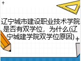 辽宁城市建设职业技术学院是否有双学位，为什么(辽宁城建学院双学位原因)