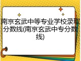 南京玄武中等专业学校录取分数线(南京玄武中专分数线)