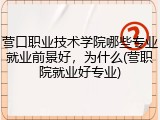 营口职业技术学院哪些专业就业前景好，为什么(营职院就业好专业)
