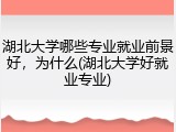 湖北大学哪些专业就业前景好，为什么(湖北大学好就业专业)