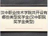 汉中职业技术学院共开设有哪些类型奖学金(汉中职院奖学金类型)