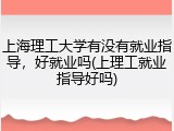 上海理工大学有没有就业指导，好就业吗(上理工就业指导好吗)