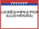 山东省职业中等专业学校排名(山东中职校排名)