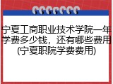 宁夏工商职业技术学院一年学费多少钱，还有哪些费用(宁夏职院学费费用)