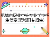 肥城市职业中等专业学校招生简章(肥城职专招生)
