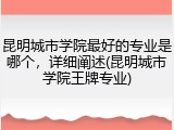 昆明城市学院最好的专业是哪个，详细阐述(昆明城市学院王牌专业)