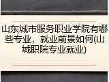 山东城市服务职业学院有哪些专业，就业前景如何(山城职院专业就业)