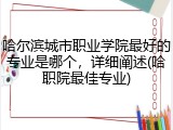 哈尔滨城市职业学院最好的专业是哪个，详细阐述(哈职院最佳专业)
