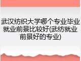 武汉纺织大学哪个专业毕业就业前景比较好(武纺就业前景好的专业)
