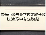宿豫中等专业学校录取分数线(宿豫中专分数线)