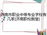 济南市职业中等专业学校有几家(济南职校数量)
