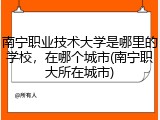 南宁职业技术大学是哪里的学校，在哪个城市(南宁职大所在城市)