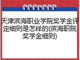 天津滨海职业学院奖学金评定细则是怎样的(滨海职院奖学金细则)