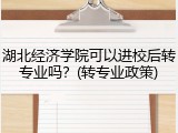 湖北经济学院可以进校后转专业吗？(转专业政策)