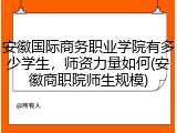 安徽国际商务职业学院有多少学生，师资力量如何(安徽商职院师生规模)