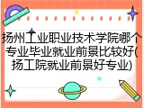 扬州工业职业技术学院哪个专业毕业就业前景比较好(扬工院就业前景好专业)