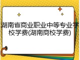 湖南省商业职业中等专业学校学费(湖南商校学费)