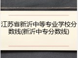 江苏省新沂中等专业学校分数线(新沂中专分数线)