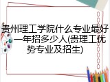 贵州理工学院什么专业最好，一年招多少人(贵理工优势专业及招生)