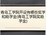 青岛工学院开设有哪些奖学和助学金(青岛工学院奖助学金)