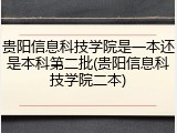 贵阳信息科技学院是一本还是本科第二批(贵阳信息科技学院二本)