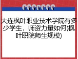 大连枫叶职业技术学院有多少学生，师资力量如何(枫叶职院师生规模)