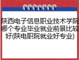 陕西电子信息职业技术学院哪个专业毕业就业前景比较好(陕电职院就业好专业)