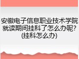 安徽电子信息职业技术学院就读期间挂科了怎么办呢？(挂科怎么办)