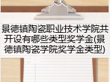景德镇陶瓷职业技术学院共开设有哪些类型奖学金(景德镇陶瓷学院奖学金类型)