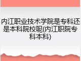 内江职业技术学院是专科还是本科院校呢(内江职院专科本科)