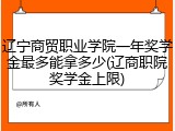 辽宁商贸职业学院一年奖学金最多能拿多少(辽商职院奖学金上限)
