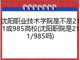 沈阳职业技术学院是不是211或985高校(沈阳职院是211/985吗)