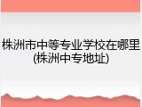 株洲市中等专业学校在哪里(株洲中专地址)