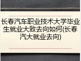 长春汽车职业技术大学毕业生就业大致去向如何(长春汽大就业去向)