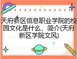 天府新区信息职业学院的校园文化是什么，简介(天府新区学院文风)